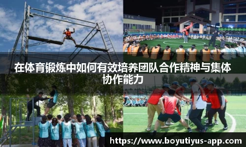 博鱼体育app