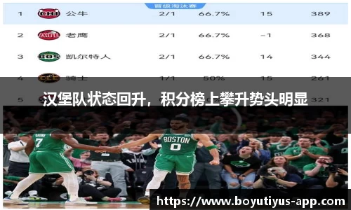 博鱼体育app